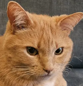 Leentje 05 - Peertje